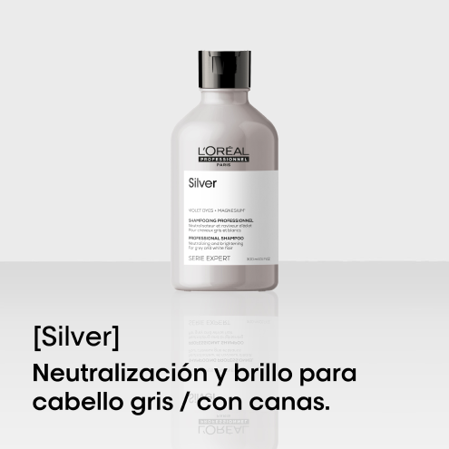 Silver - L'Oreal Professionel